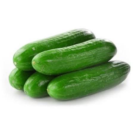 Cucumber Lebanese Each