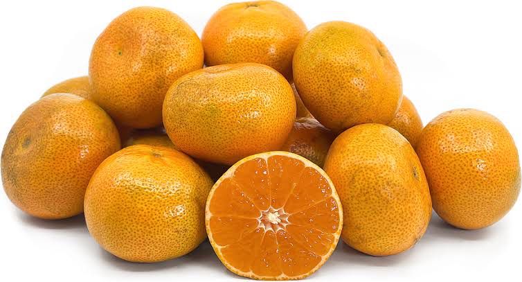 Mandarin Afourer Seedless Each Mandarin Afourer Seedless Each