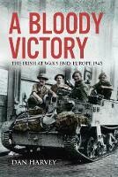 Bloody Victory: Irish at War's End