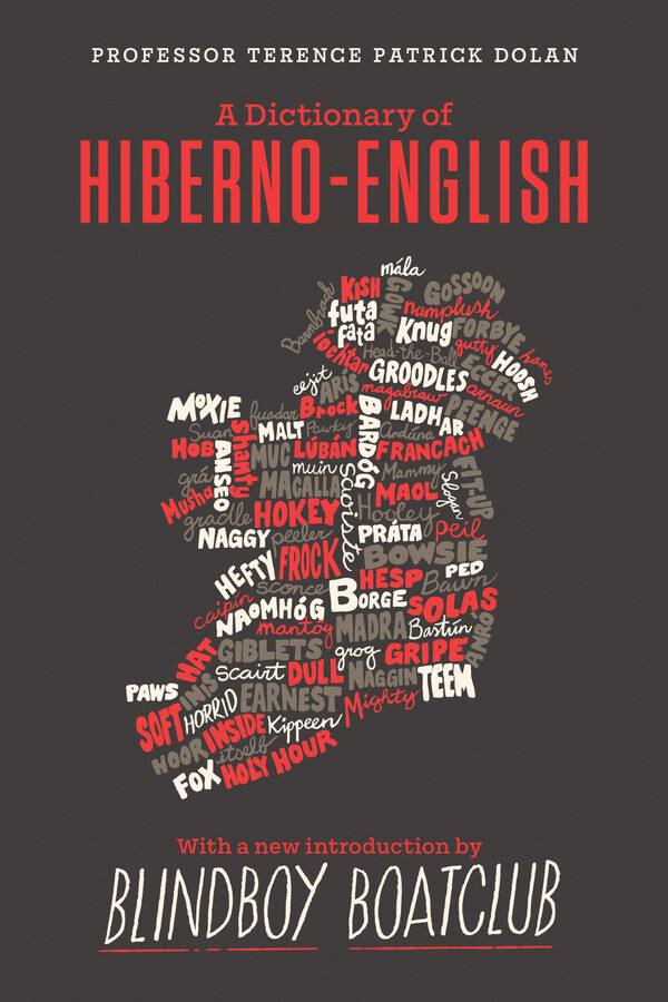 Dictionary of Hiberno English