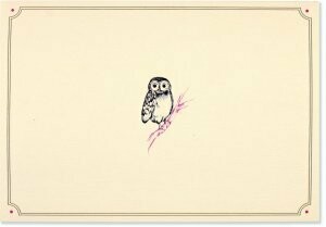 Owl Note Cards