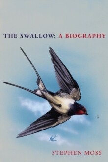 Swallow, The