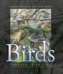 Birds: Through Irish Eyes