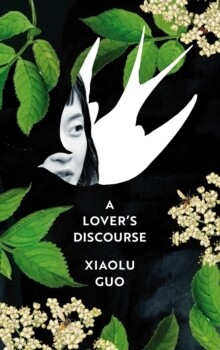 Lover's Discourse, A