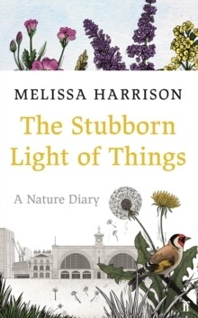 Stubborn Light of Things, The