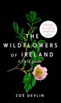 Wildflowers Of Ireland