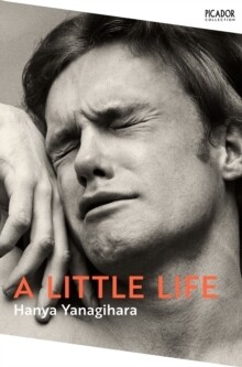 Little Life, A