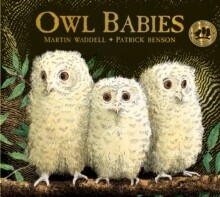 Owl Babies