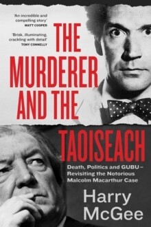Murderer and the Taoiseach, The