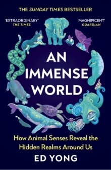 Immense World, An
