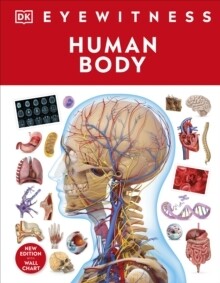 Human Body, The
