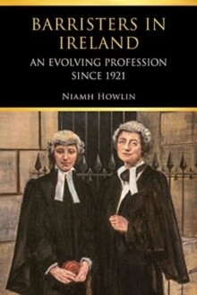 Barristers in Ireland