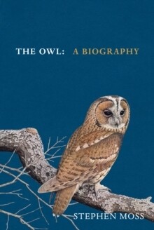 Owl, The