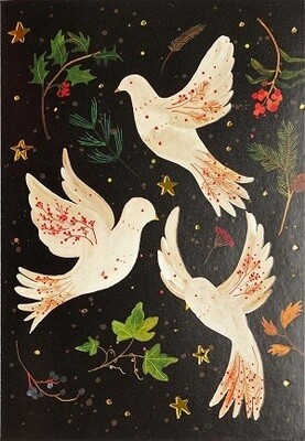 Doves Of Peace Box Set