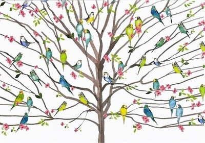 Tree Of Budgies Note Cards