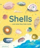 Shells And What They Hide Inside