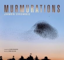Murmarations
