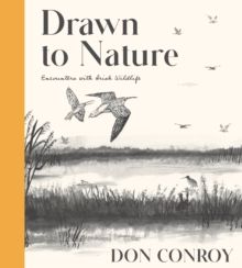 Drawn To Nature