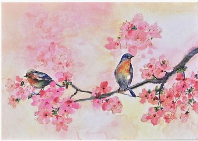 Cherry Blossoms in Spring Note Cards