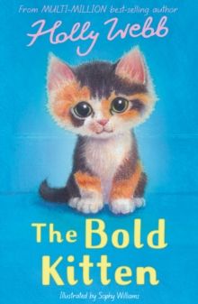 Bold Kitten, The