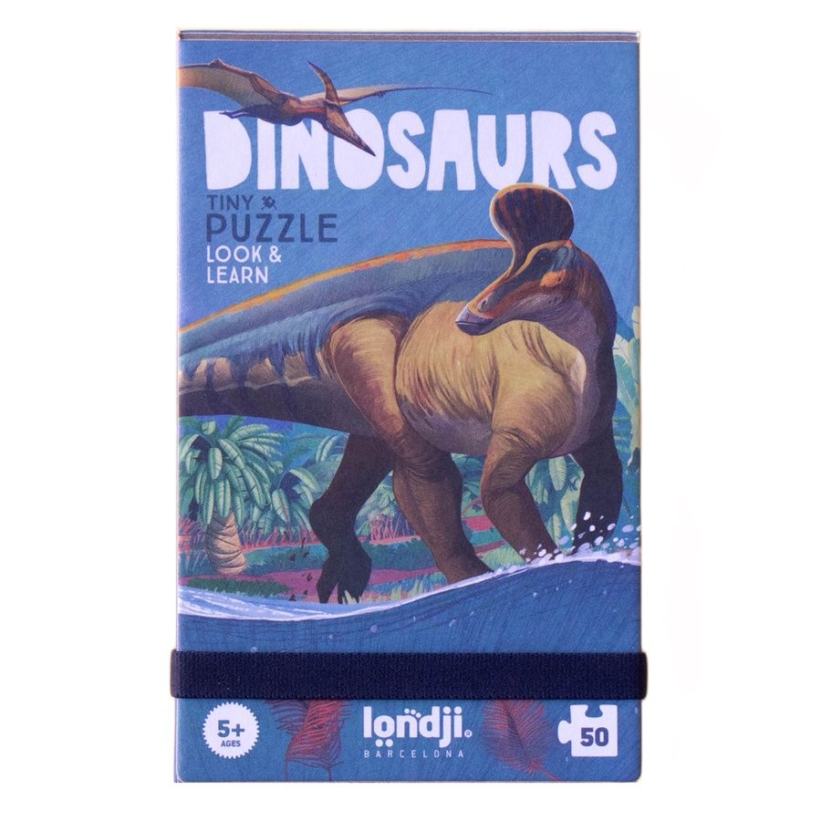 Tiny Puzzle Dinosaurs