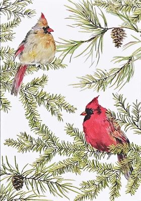 Cardinals In Evergreens