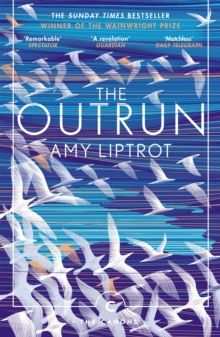 Outrun, The