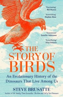 Story of Birds, The