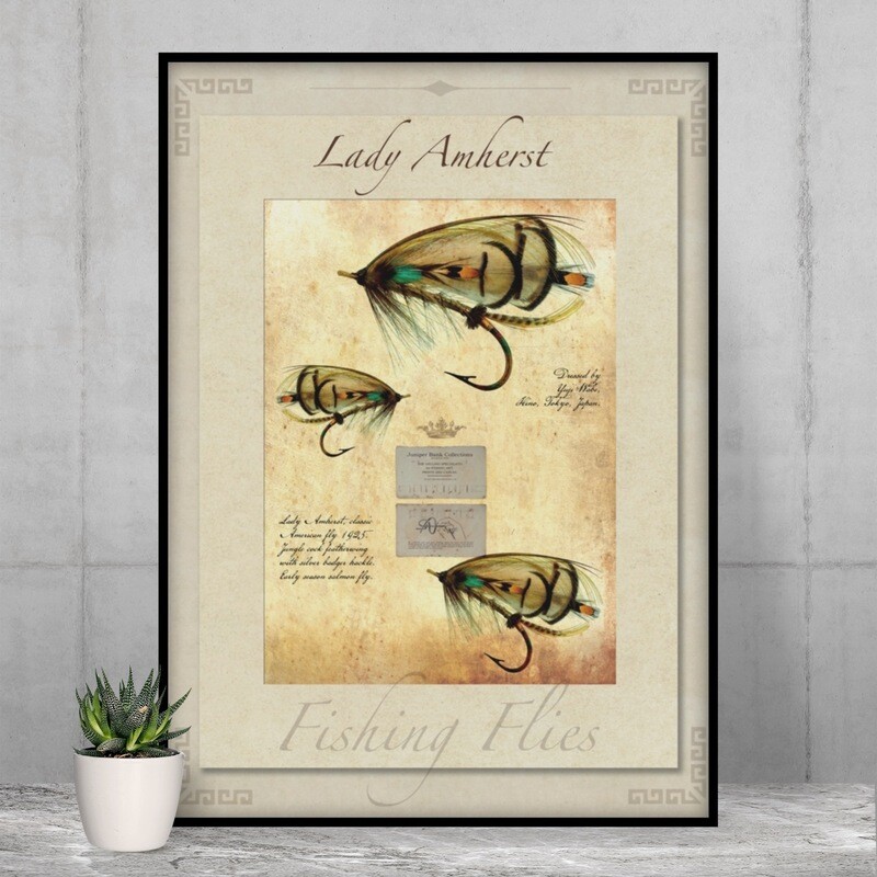 Lady Amherst Salmon Fly - High Quality Vintage-Style Print