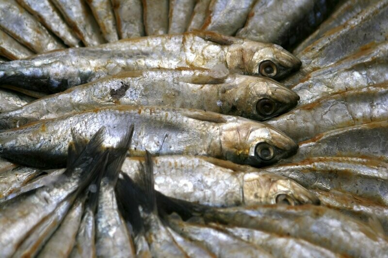 Fritura de pescado
