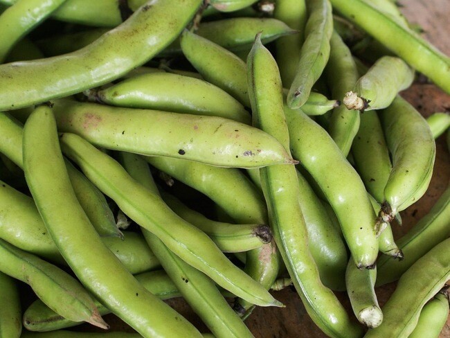 FÈVES FRANCE CAT.1 LES 500G