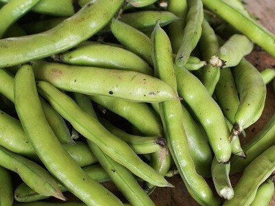 FÈVES FRANCE CAT.1 LES 500G