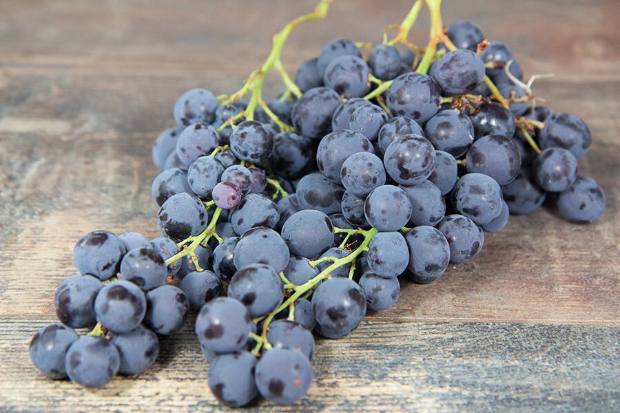 RAISIN NOIR MUSCAT DE HAMBOURG CAT.1 FRANCE LES 500G