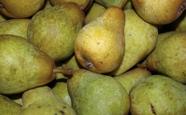 POIRE WILLIAM FRANCE CAT 1 LES 500G