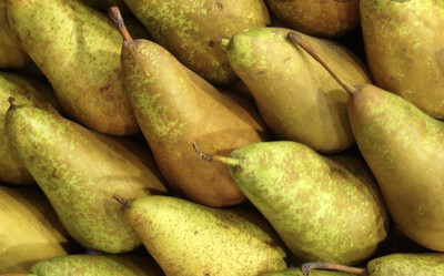 POIRE CONFÉRENCE FRANCE CAT.1 LES 500G