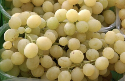 RAISIN ITALIA CAT.1 ITALIE LES 500G