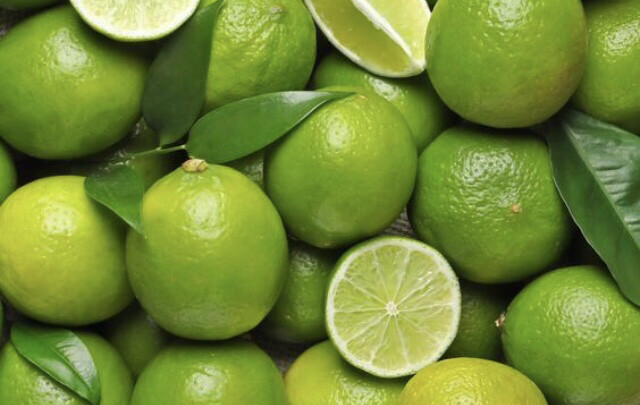CITRON VERT BATEAU BRESIL CAT.1 LE LOT DE 3