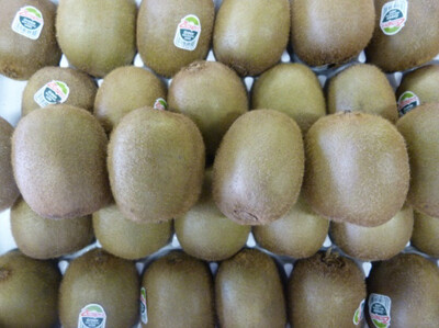 KIWI VERT NOUVELLE ZÉLANDE CAT.1 LE LOT DE 3