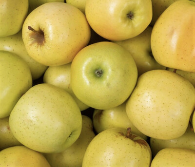 POMME GOLDEN ROSÉ LOCAL CHARENTE-MARITIME FRANCE CAT.1 LE KILO