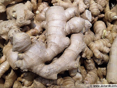 GINGEMBRE BRESIL CAT.1 LES 250 GRS