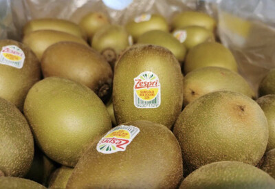 KIWI GOLD NOUVELLE ZÉLANDE CAT.1 LE LOT DE 3