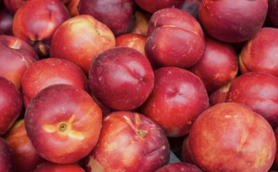 NECTARINE JAUNE ESPAGNE CAT.1 LES 500GRS