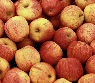 POMME ROYAL GALA LOCAL CHARENTE-MARITIME FRANCE CAT.1 LE KILO