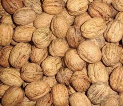 NOIX SÈCHE FRANCE CAT.1 LES 500 GRS