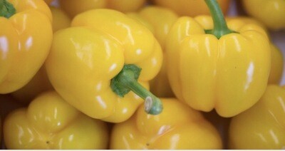 POIVRON JAUNE FRANCE CAT.1 LES 500G