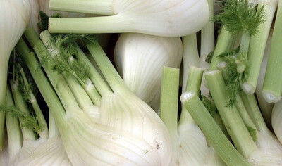 FENOUIL FRANCE CAT.1 LA PIÈCE 