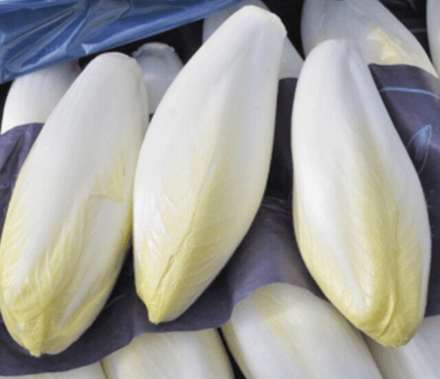 ENDIVE JAUNE LOCAL CHARENTE-MARITIME FRANCE CAT.1 LES 500G