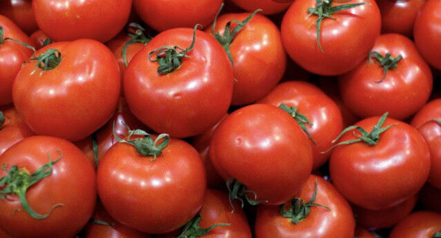 TOMATE RONDE FRANCE CAT.1 LES 500G