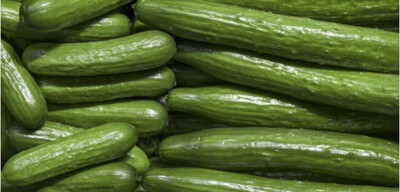 CONCOMBRE FRANCE CAT.1 LA PIÈCE