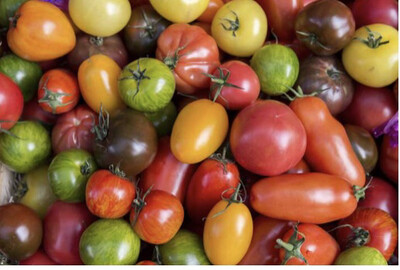 TOMATE D’ANTAN FRANCE CAT.1 LES 500G